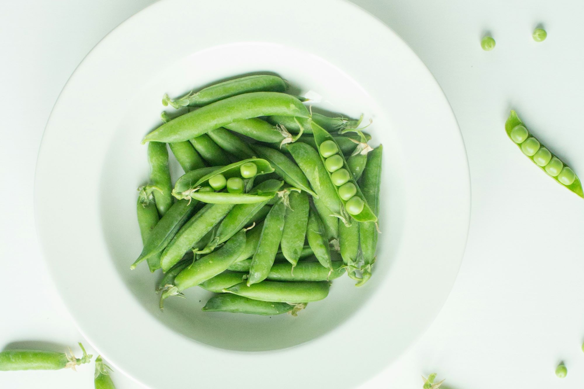 Meine Ausbildung zur Veganen Ernährungsberaterin bei ecodemy